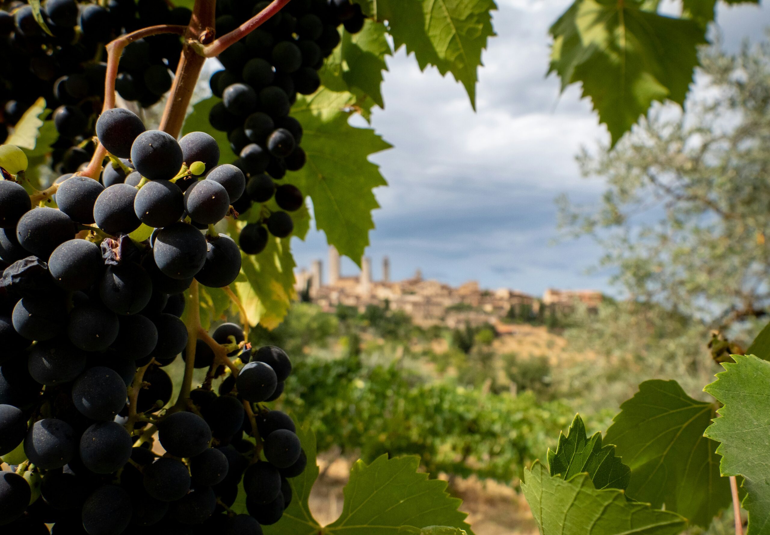 Tuscany